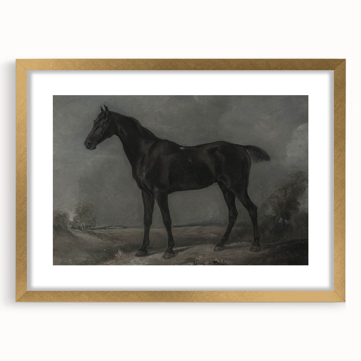 Vintage Animal Art - Majestic Black Horse Antique Wildlife Print