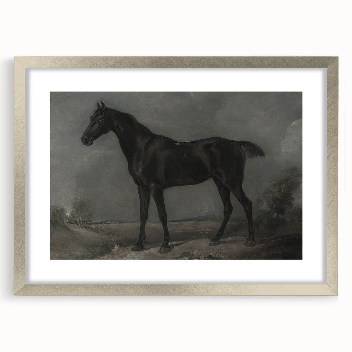 Vintage Animal Art - Majestic Black Horse Antique Wildlife Print