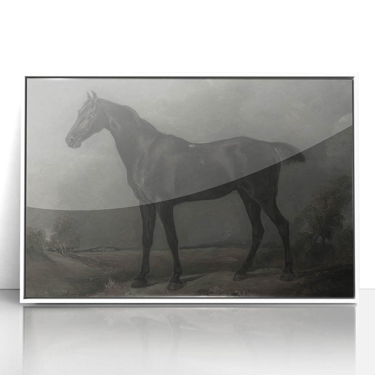 Vintage Animal Art - Majestic Black Horse Antique Wildlife Print