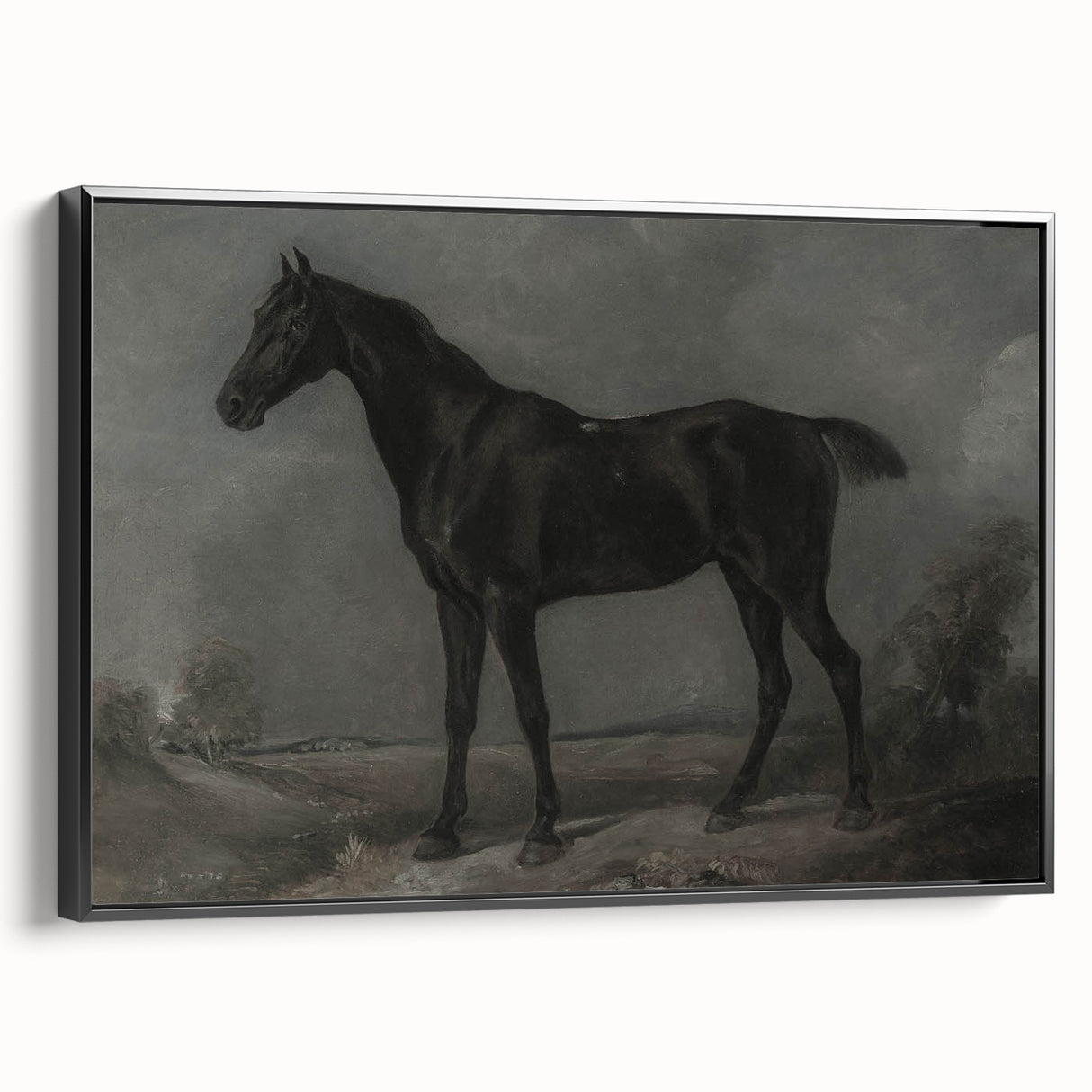 Vintage Animal Art - Majestic Black Horse Antique Wildlife Print