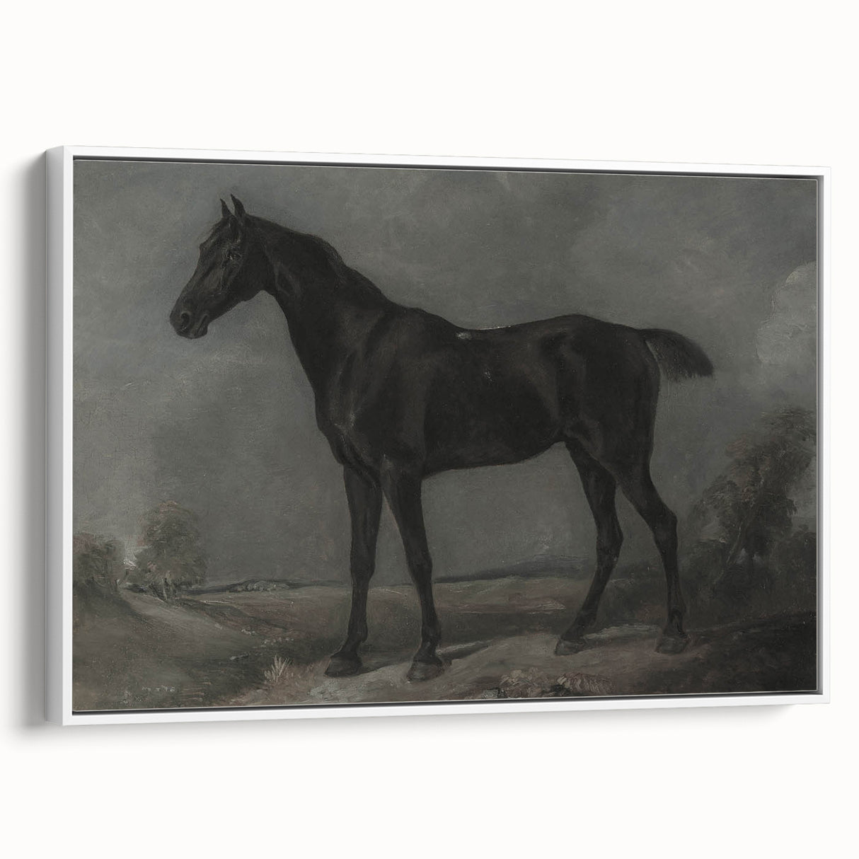 Vintage Animal Art - Majestic Black Horse Antique Wildlife Print
