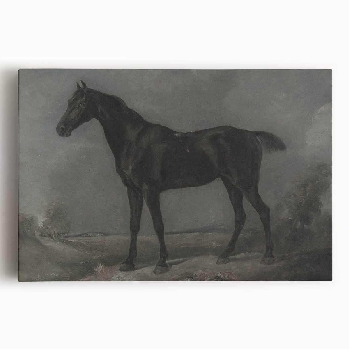 Vintage Animal Art - Majestic Black Horse Antique Wildlife Print