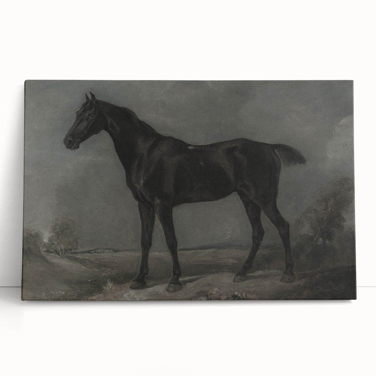 Vintage Animal Art - Majestic Black Horse Antique Wildlife Print