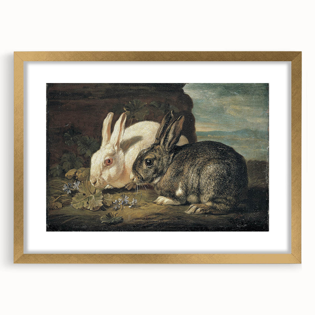 Vintage Animal Art - White & Brown Rabbits Antique Wildlife Print
