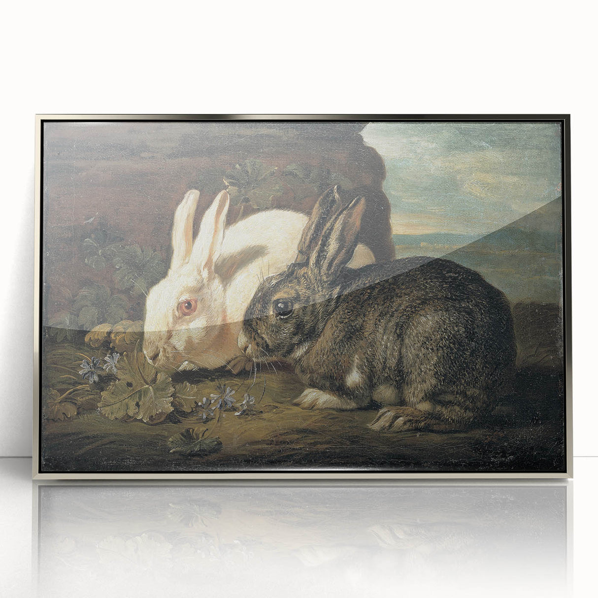 Vintage Animal Art - White & Brown Rabbits Antique Wildlife Print