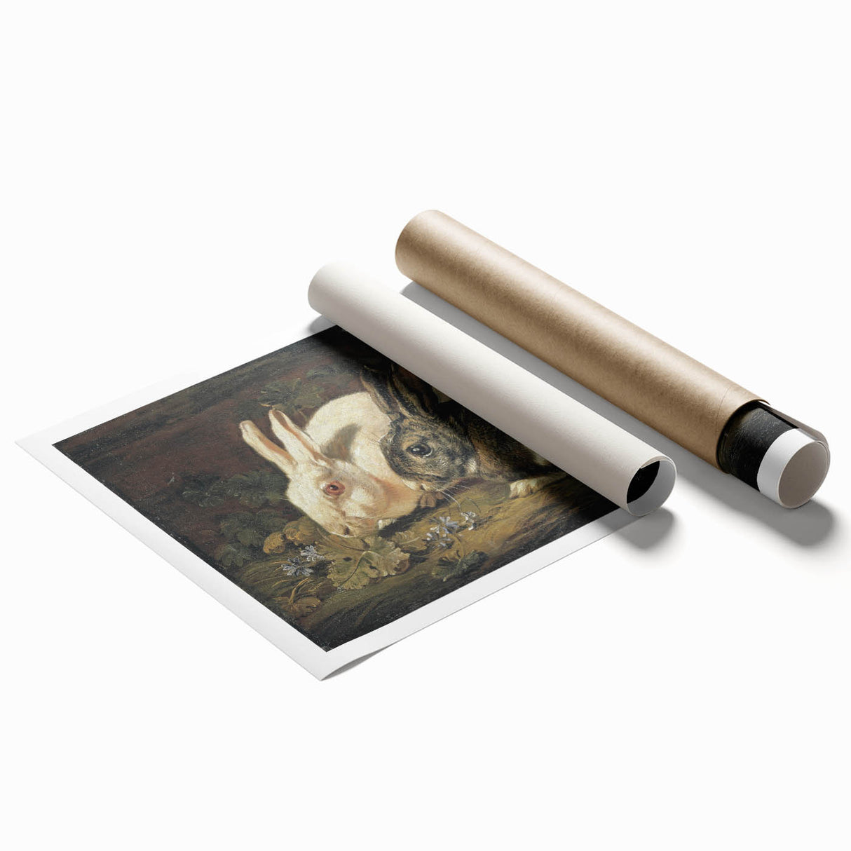 Vintage Animal Art - White & Brown Rabbits Antique Wildlife Print