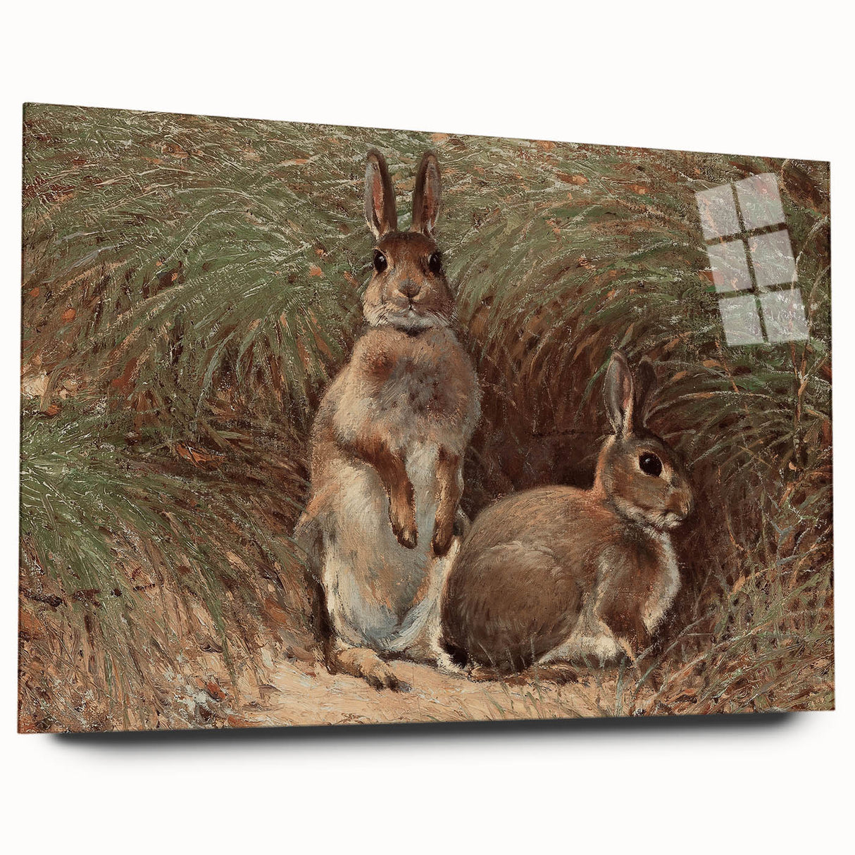 Vintage Animal Art - Rabbits in Grass Antique Wildlife Print