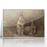 Vintage Animal Art - Rabbits in Grass Antique Wildlife Print