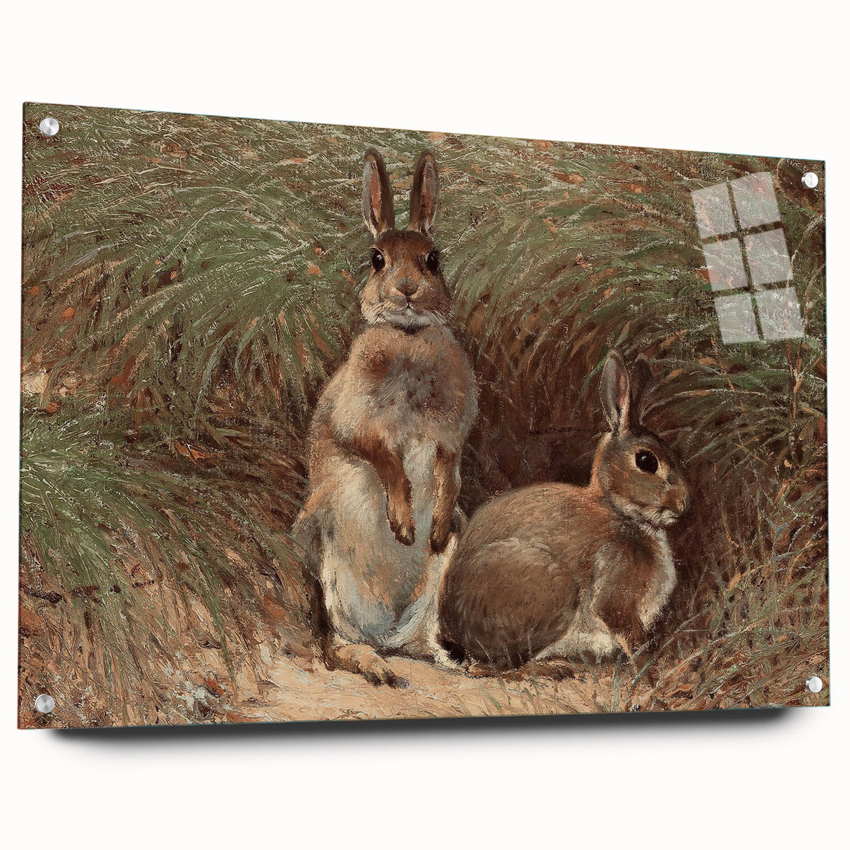 Vintage Animal Art - Rabbits in Grass Antique Wildlife Print