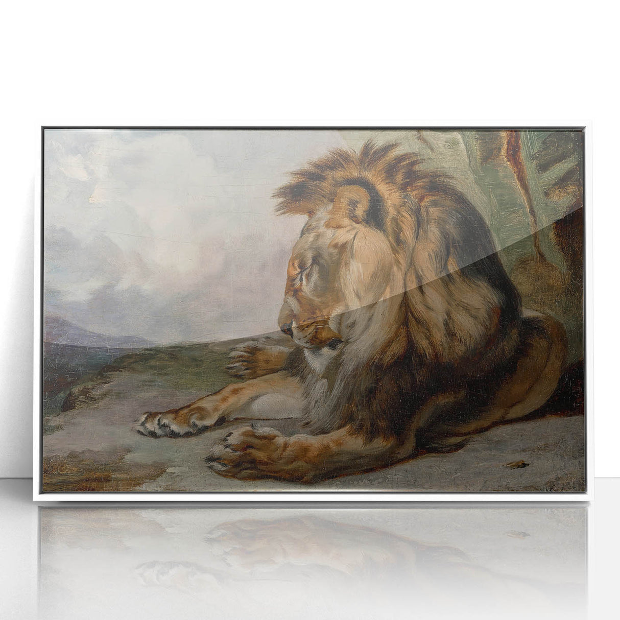 Vintage Animal Art - Majestic Lion Antique Wildlife Print