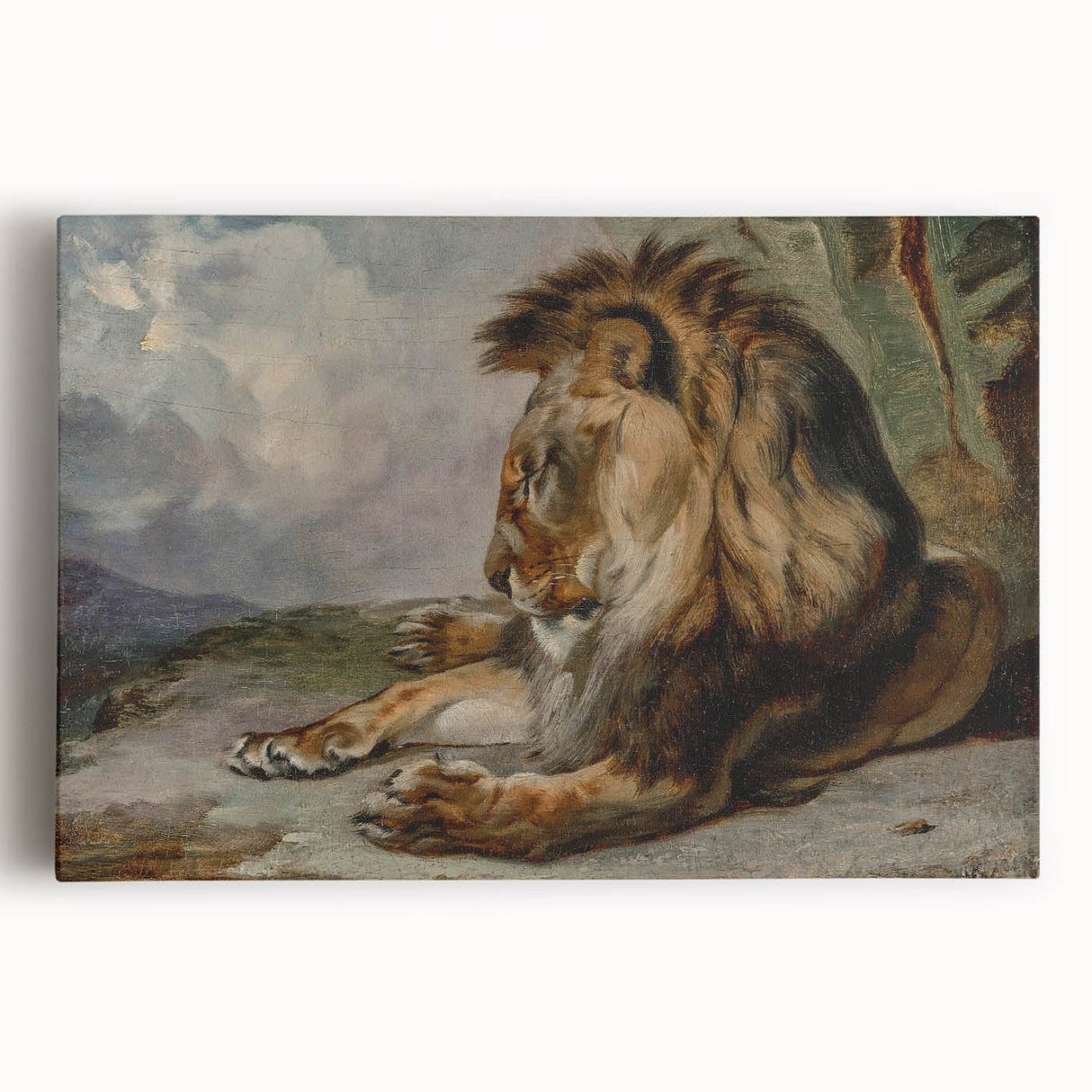 Vintage Animal Art - Majestic Lion Antique Wildlife Print