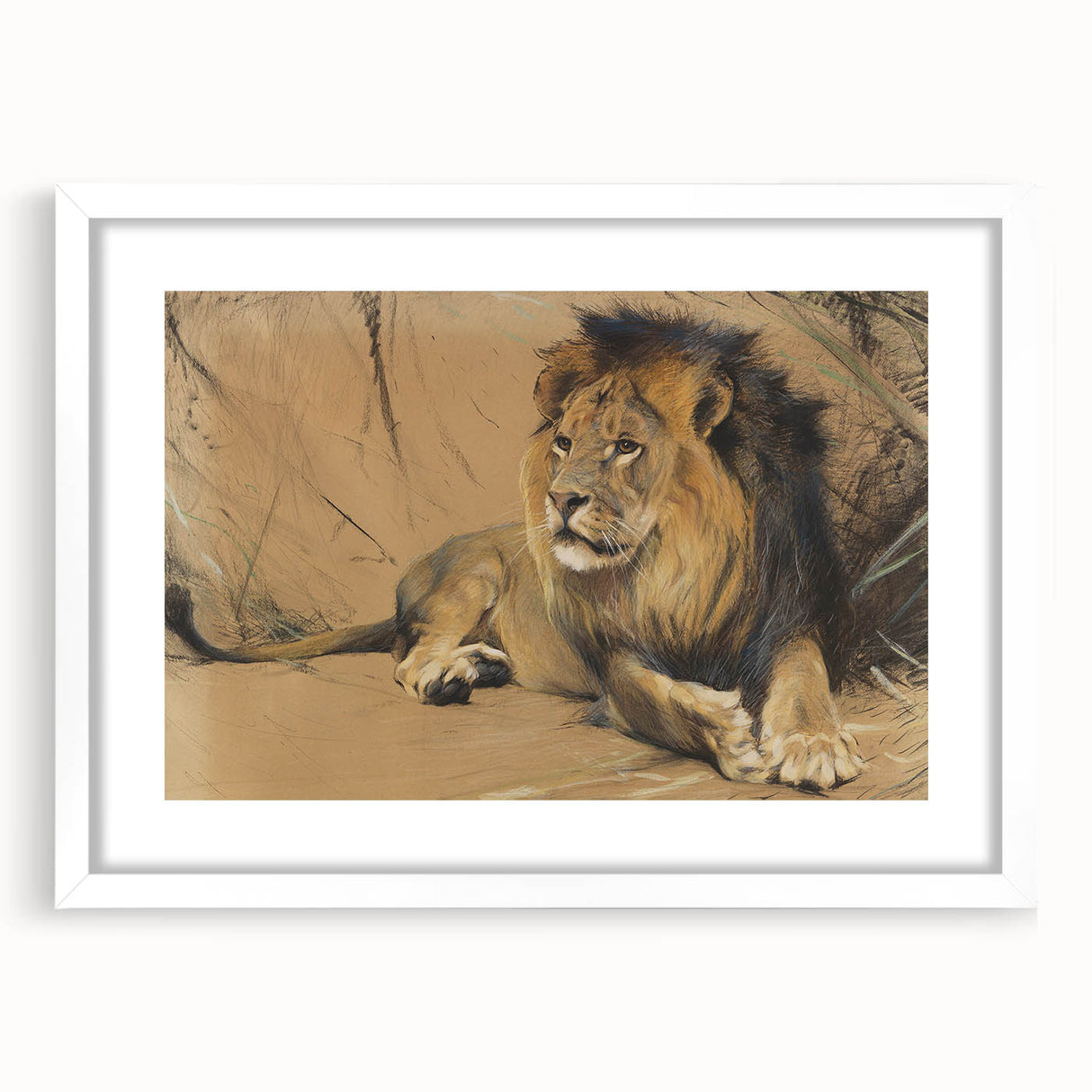 Vintage Animal Art - Resting Lion Pastel Wildlife Print