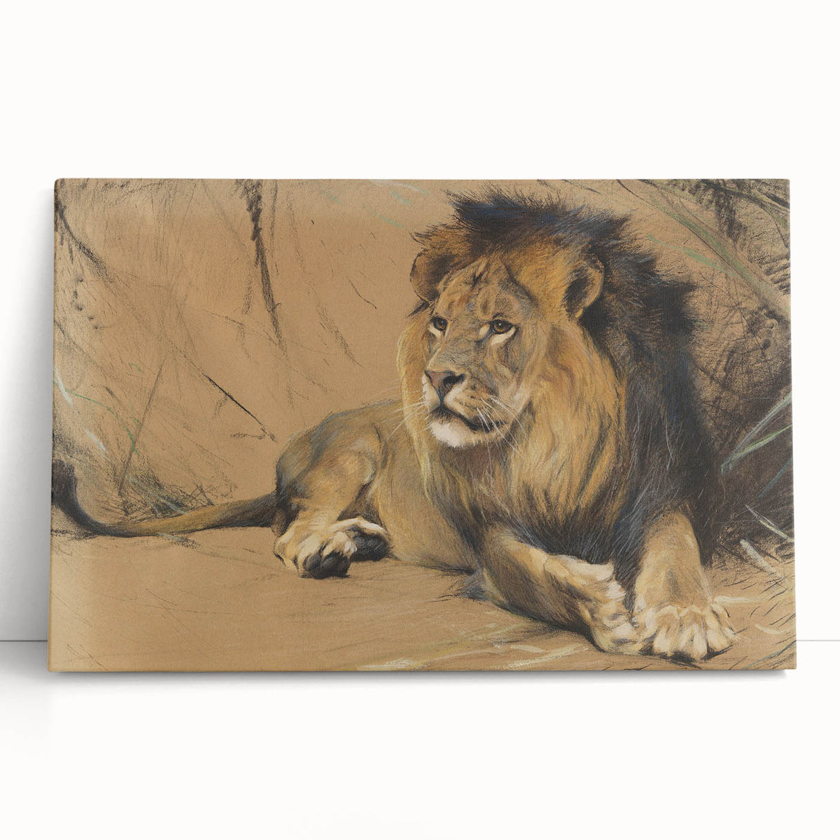 Vintage Animal Art - Resting Lion Pastel Wildlife Print