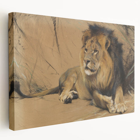 Vintage Animal Art - Resting Lion Pastel Wildlife Print