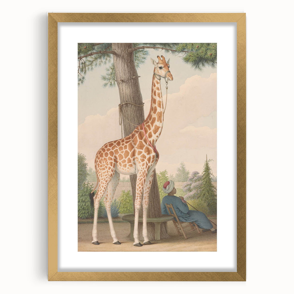 Vintage Animal Art - Giraffe in the Garden Antique Print