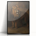 Vintage Animal Art - Fierce Lion Antique Wildlife Print