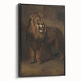 Vintage Animal Art - Fierce Lion Antique Wildlife Print