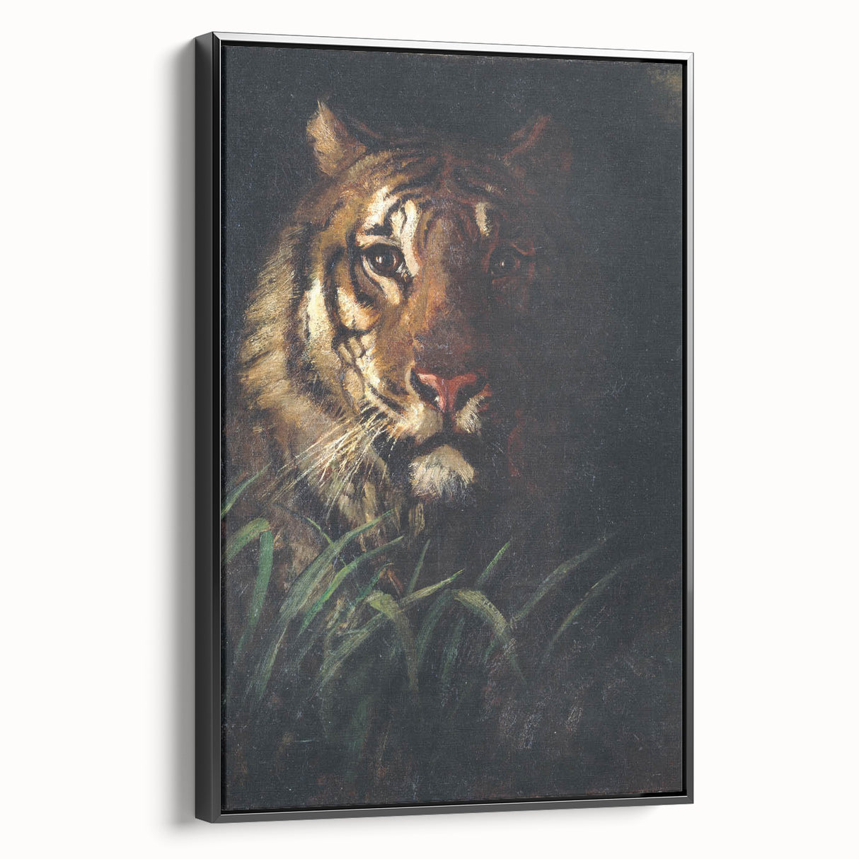 Vintage Animal Art - Majestic Tiger in the Grass Antique Print