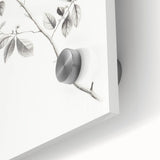 Vintage Botanical Art Prints - Black and White Branch Illustration