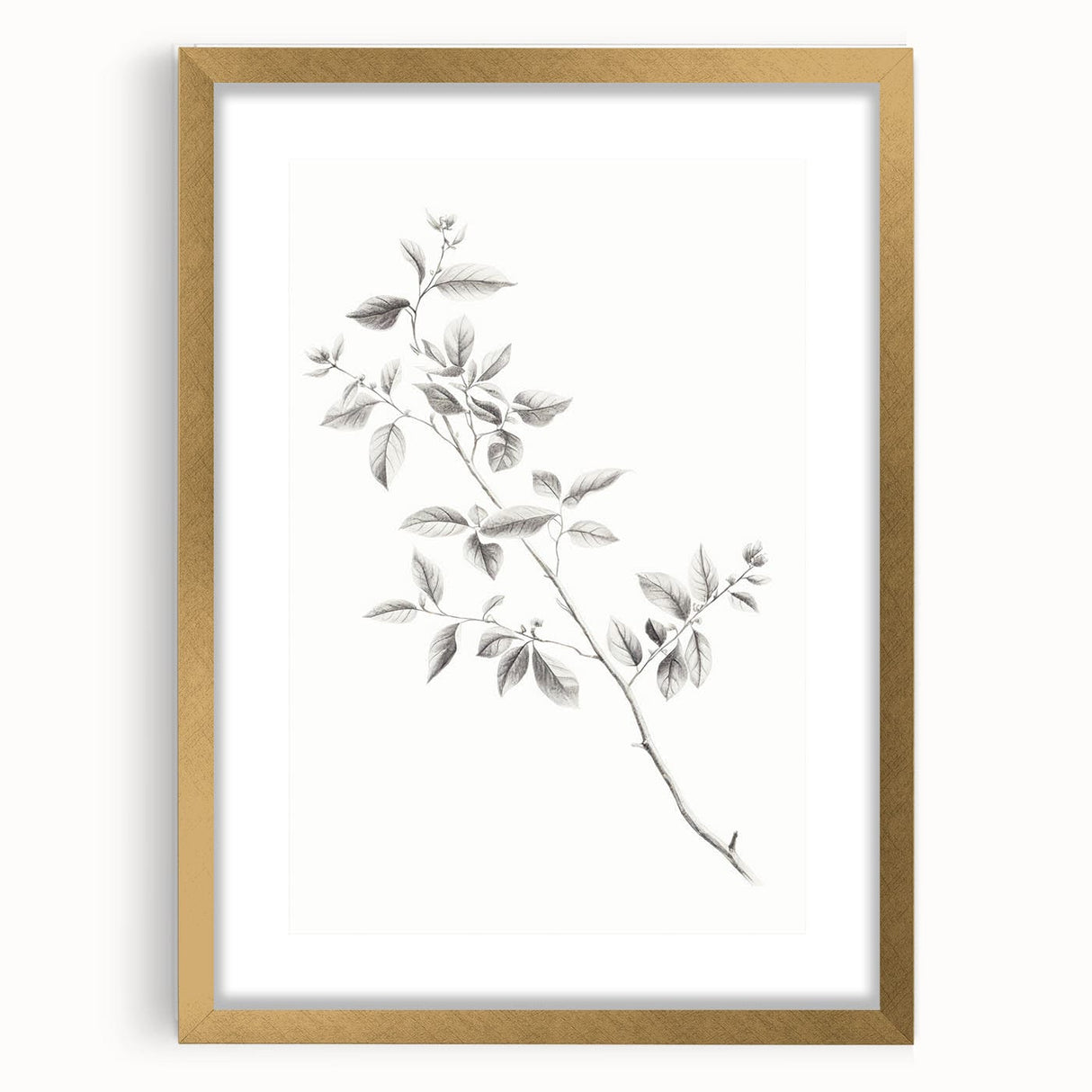 Vintage Botanical Art Prints - Black and White Branch Illustration