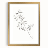 Vintage Botanical Art Prints - Black and White Branch Illustration