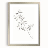 Vintage Botanical Art Prints - Black and White Branch Illustration