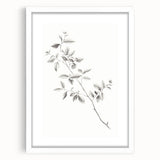 Vintage Botanical Art Prints - Black and White Branch Illustration