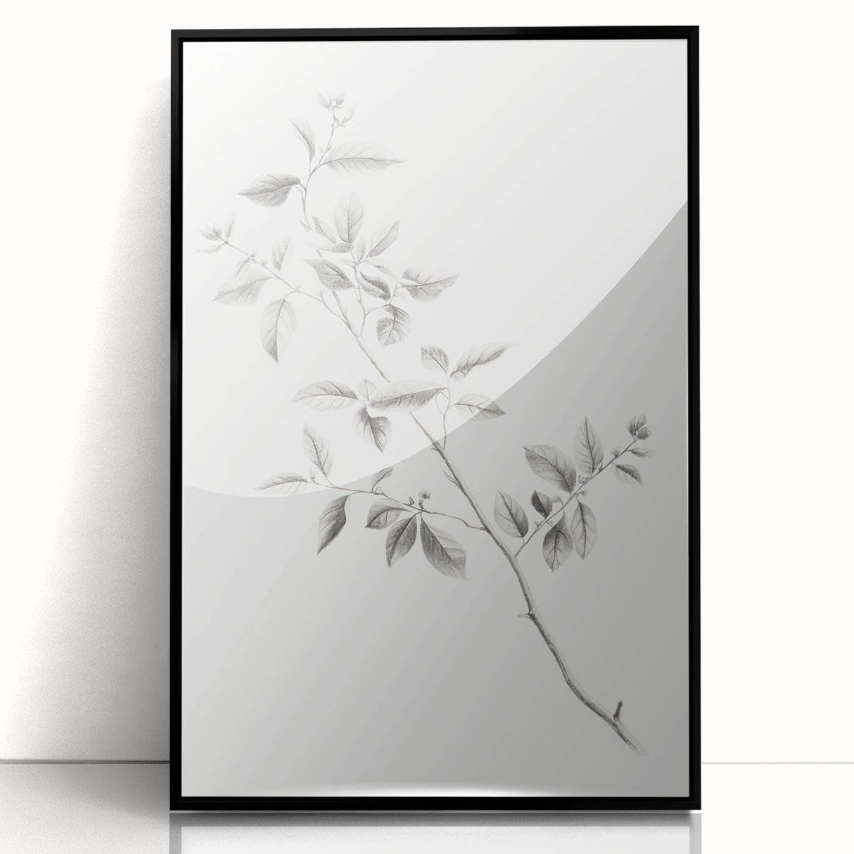 Vintage Botanical Art Prints - Black and White Branch Illustration