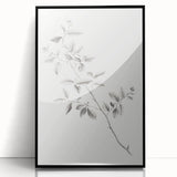 Vintage Botanical Art Prints - Black and White Branch Illustration