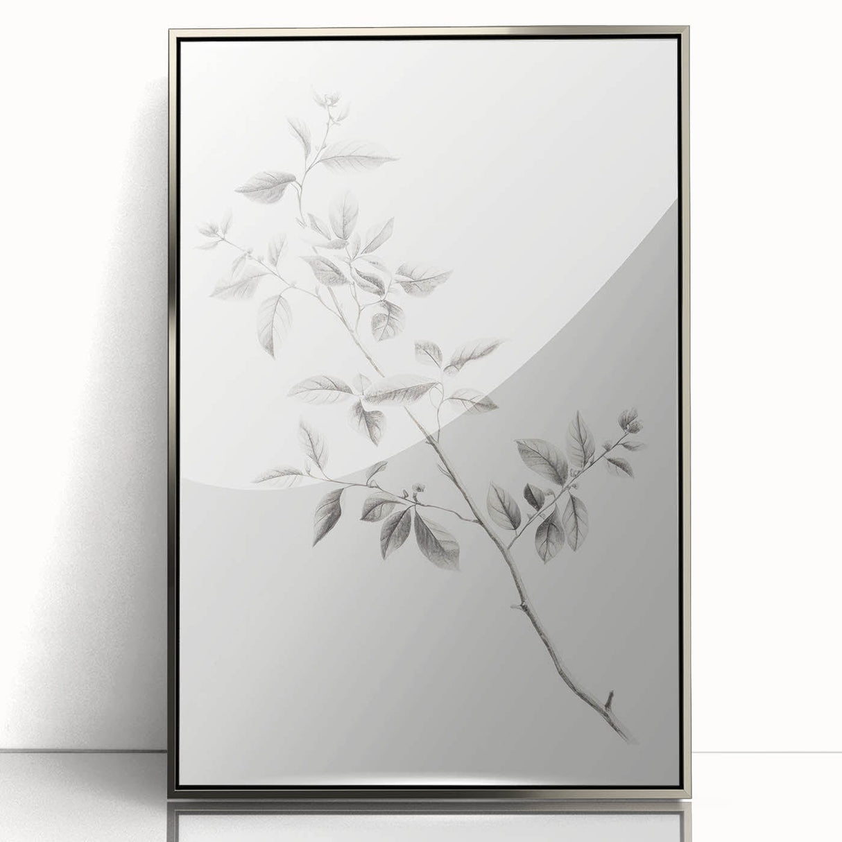 Vintage Botanical Art Prints - Black and White Branch Illustration