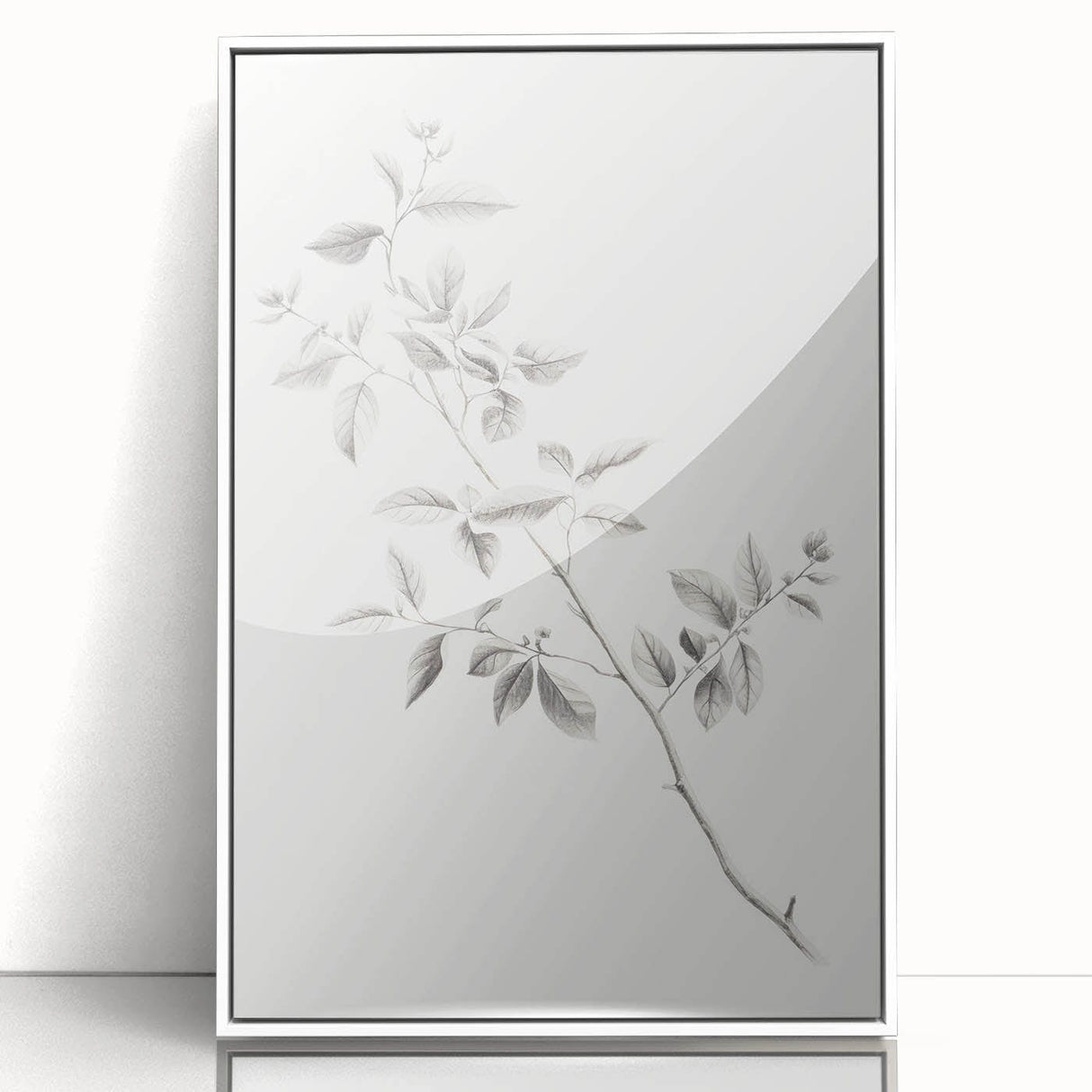 Vintage Botanical Art Prints - Black and White Branch Illustration