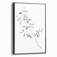 Vintage Botanical Art Prints - Black and White Branch Illustration