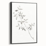 Vintage Botanical Art Prints - Black and White Branch Illustration