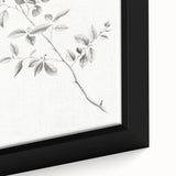 Vintage Botanical Art Prints - Black and White Branch Illustration