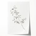 Vintage Botanical Art Prints - Black and White Branch Illustration