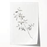 Vintage Botanical Art Prints - Black and White Branch Illustration
