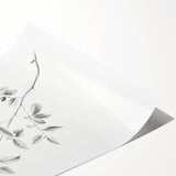 Vintage Botanical Art Prints - Black and White Branch Illustration