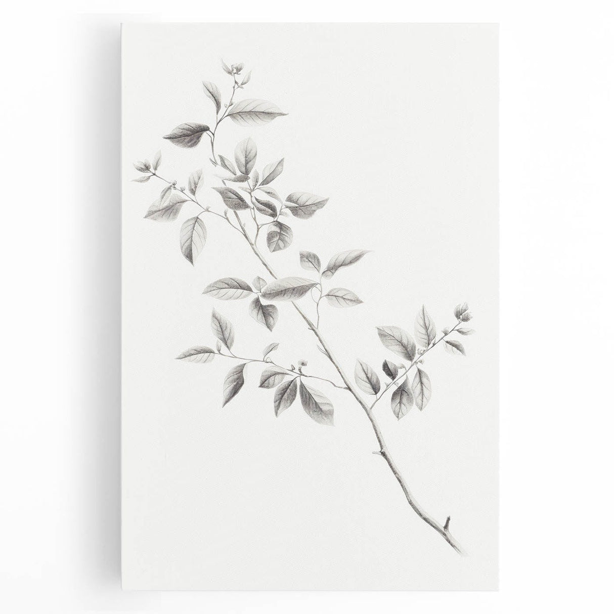 Vintage Botanical Art Prints - Black and White Branch Illustration