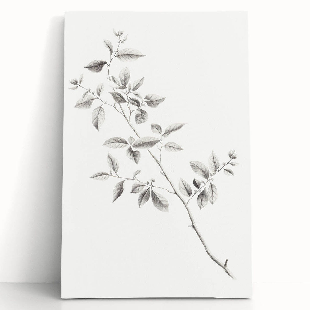 Vintage Botanical Art Prints - Black and White Branch Illustration
