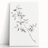 Vintage Botanical Art Prints - Black and White Branch Illustration