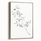 Vintage Botanical Art Prints - Black and White Branch Illustration