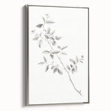Vintage Botanical Art Prints - Black and White Branch Illustration
