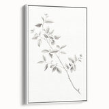 Vintage Botanical Art Prints - Black and White Branch Illustration