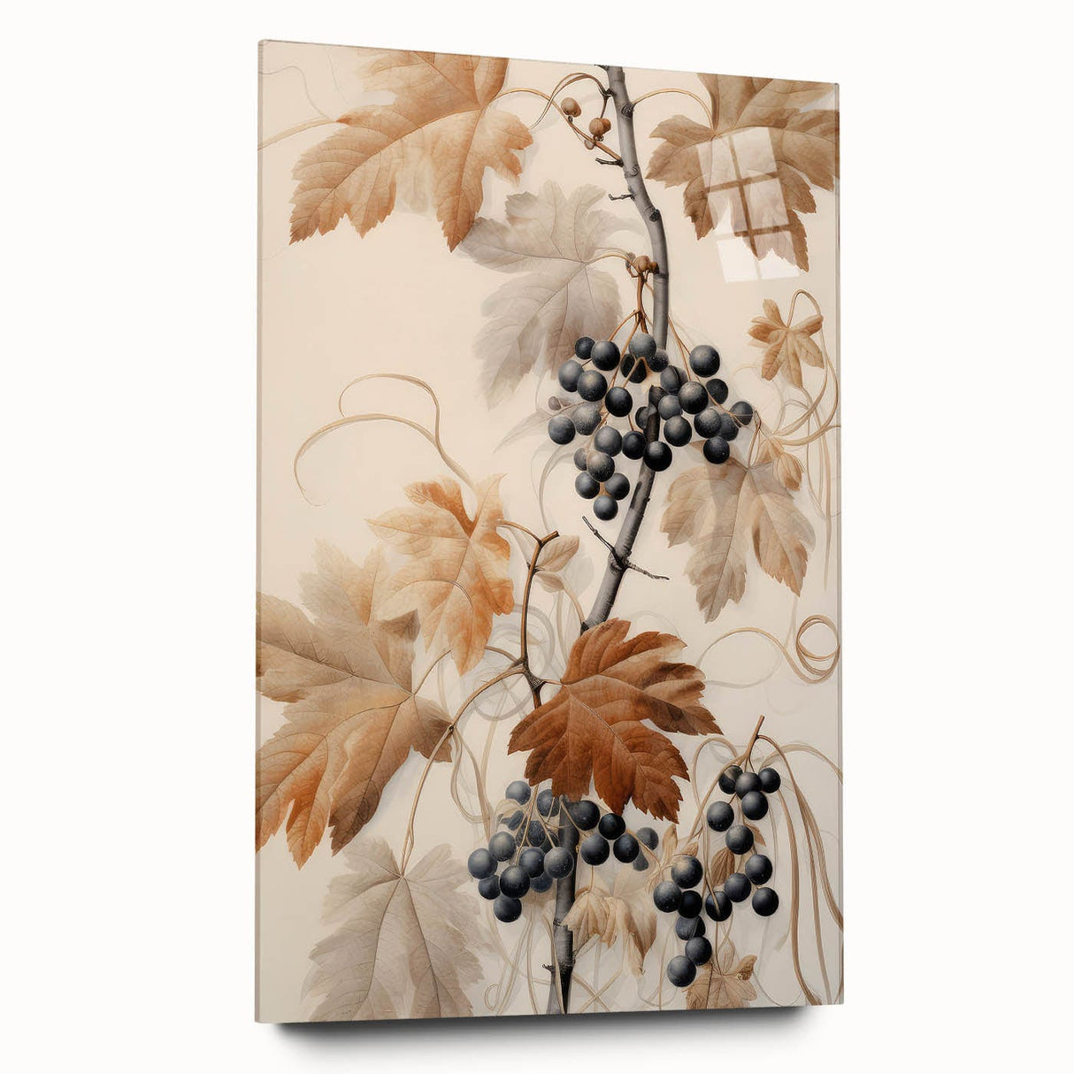 Vintage Botanical Art Prints – Antique Grapevine Floral Illustration