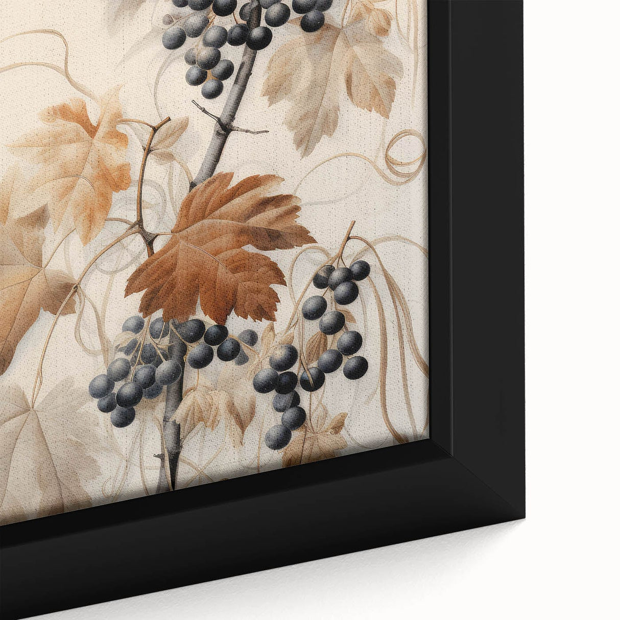 Vintage Botanical Art Prints – Antique Grapevine Floral Illustration
