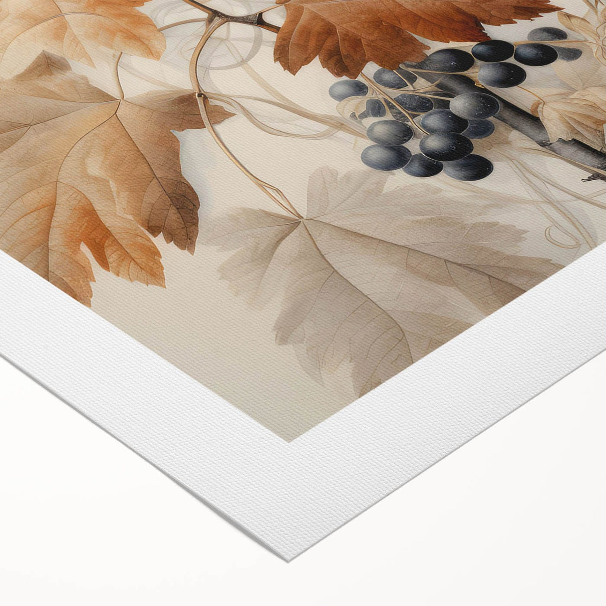 Vintage Botanical Art Prints – Antique Grapevine Floral Illustration