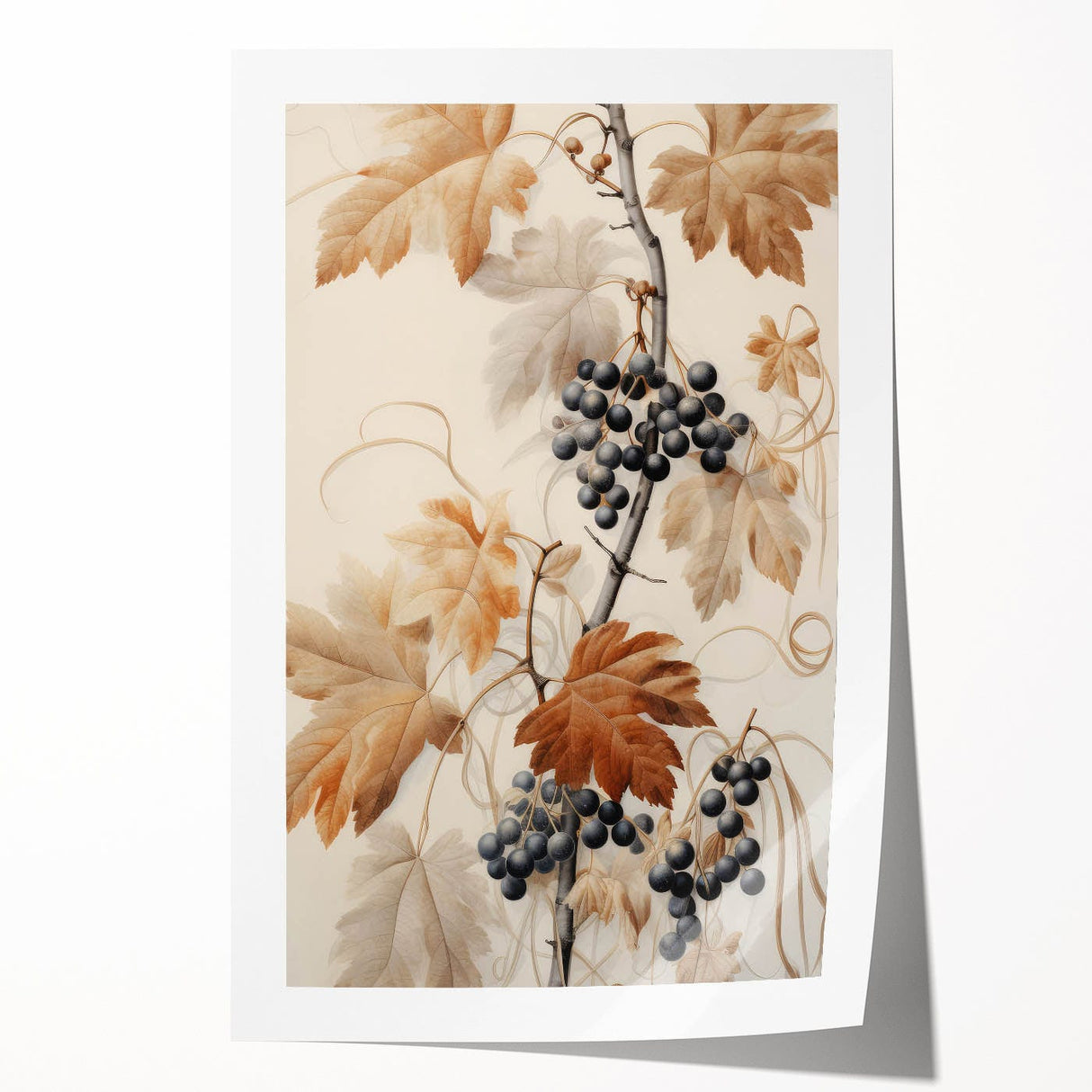 Vintage Botanical Art Prints – Antique Grapevine Floral Illustration