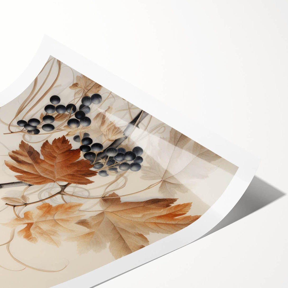 Vintage Botanical Art Prints – Antique Grapevine Floral Illustration