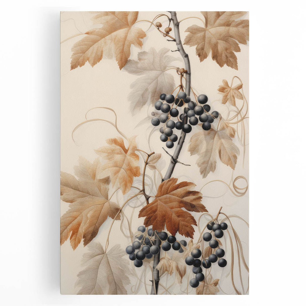 Vintage Botanical Art Prints – Antique Grapevine Floral Illustration