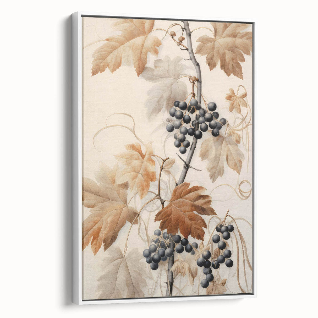 Vintage Botanical Art Prints – Antique Grapevine Floral Illustration